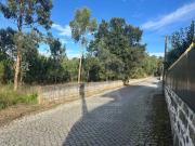 Barcelos Barcelos 96085202