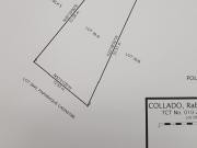 BARE LOT 214 sq.m. in BF Homes Paranaque City For Sale