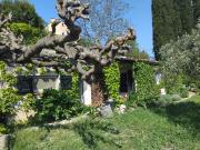 BARGEMON: Petit bijoux au centre village avec jardin