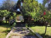 Bari monolocale 40mq