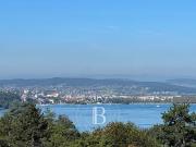 BARNES ANNECY RIVE EST VUE IMPRENABLE LE SU