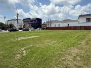 Baronne St Lot,new Orleans, Plot For Sale