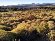 Barrancas de Dina Huapi