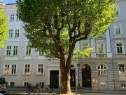 Barrierefrei! Büro, Praxis bzw. Ordination in...