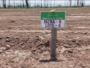 Barrio Semi Privado Aromas de Primavera