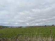 Barrow East, Ardfert, Co. Kerry is for sale