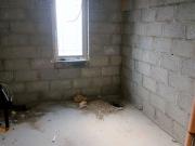 Bartlemy, Fermoy, Cork Michael Dorgan Auctioneers &...