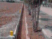 Barugur Residential Plot For Sale Bangalore