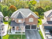 Basement 12 Cobblestone Court, Brampton, ON, L6R 2S1...