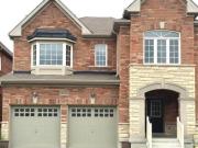 Basement 1321 Woodstream Avenue