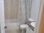 Basement 45 Manett Crescent, Brampton, ON, L6X 4X4 house...