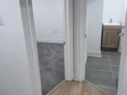 Basement 6564 Level Avenue