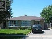Basement 871 Consort Crescent, Mississauga, ON, L5C 1J9...