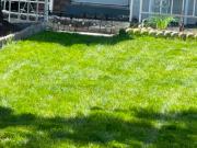 Basement Apartment For Rent 3 Bedrooms