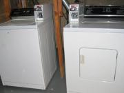 Basement for rent in