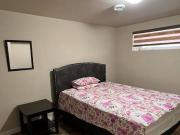 Basement for rent in amber trails maple area