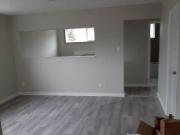 Basement for rent in Bridgeland