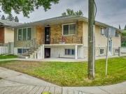 Basement for rent in Bridgeland
