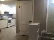 Basement for rent in Country Hills