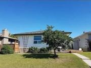 Basement for rent in Dover
