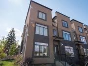 Basement for rent in Forest Lawn