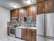 Basement for rent in Renfrew