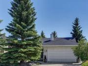 Basement for rent in Signal Hill