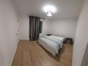 Basement for rent in Springbank Hill