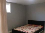 Basement for rent in Taradale
