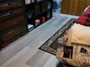 Basement for rent in Thorncliffe