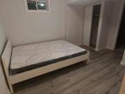 Basement suite and first floor 3 floors for rent