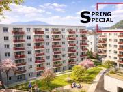 Basisdaten zur Immobilie