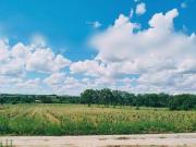 Bassan Languedoc Roussillon 34290 90604627