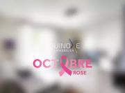 Basse Goulaine 44115 Achat / Vente appartement 2 pièces t2