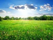 Basses 86200 Programme neuf terrain neuf à vendre