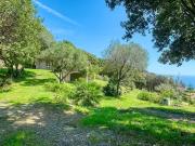 Bastia 20200 Achat / Vente maison 4 pièces t4