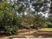 Dusun Durian 3 Ekar Batang Kali Selangor ✅GOOD...