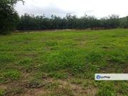 5.7 Acres Agricultural Land, Ulu Rening, Batang Kali,...