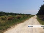 Banting bukit changgang agriculture land in Residencial...