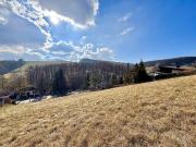 BAUBEWILLIGT! I 2 Wohneinheiten möglich I Terrassen,...