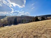 BAUBEWILLIGT! I 2 Wohneinheiten möglich I Terrassen,...