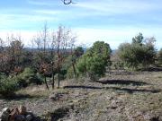 Baudinard sur Verdon Vente Terrain 83