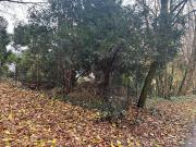 BAUEN NACH IHREN VORSTELLUNGEN