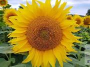 Bauernhof in Toplage!