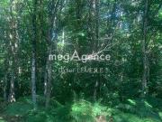 Bauge En Anjou Pays de la Loire 49150 LS93390059