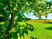 Bauge En Anjou Pays de la Loire 49150 LS95629035