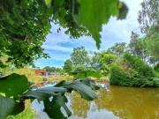 Baugé Vente Maison 49