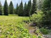 Baugelände Glödnitz, Österreich