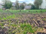 Baugelände Gols, Österreich