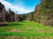 Baugelände von 13027 m2 Les Paccots, Schweiz